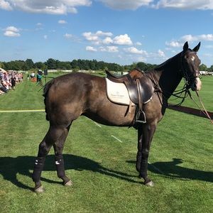 Meet your Posher, Candyland